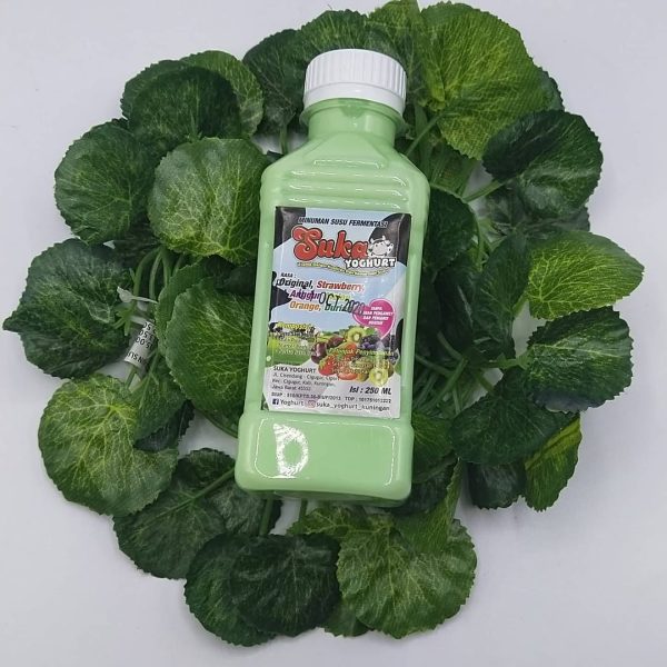 Yogurt Botol 250ml Rasa Melon