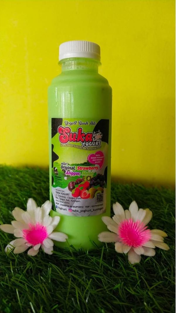 Yogurt Rasa Melon