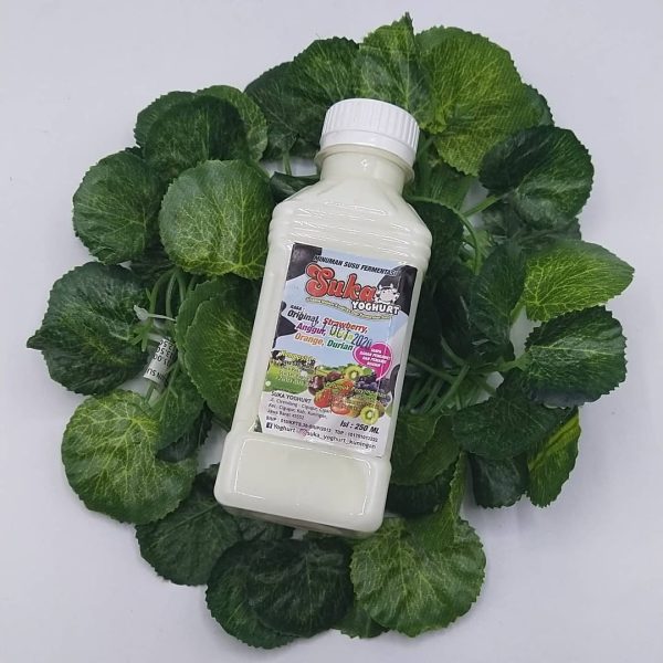 Yogurt Botol 250ml Rasa Original